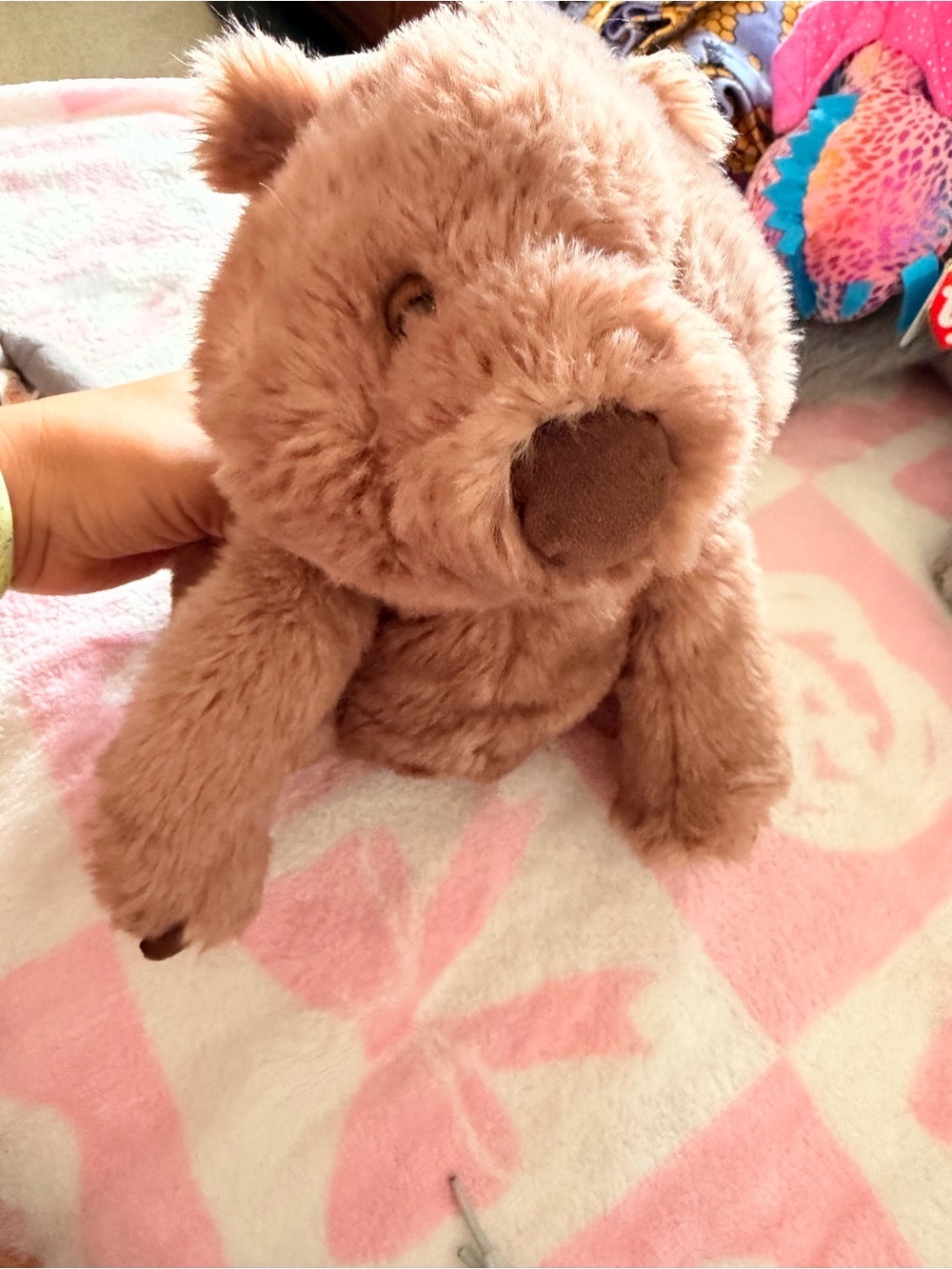 Jelly cat Plush Brown wombat Stuffed Animal - Soft Kids Toy